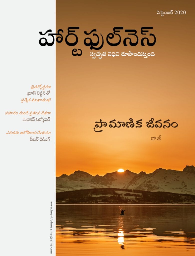 HFN Magazine